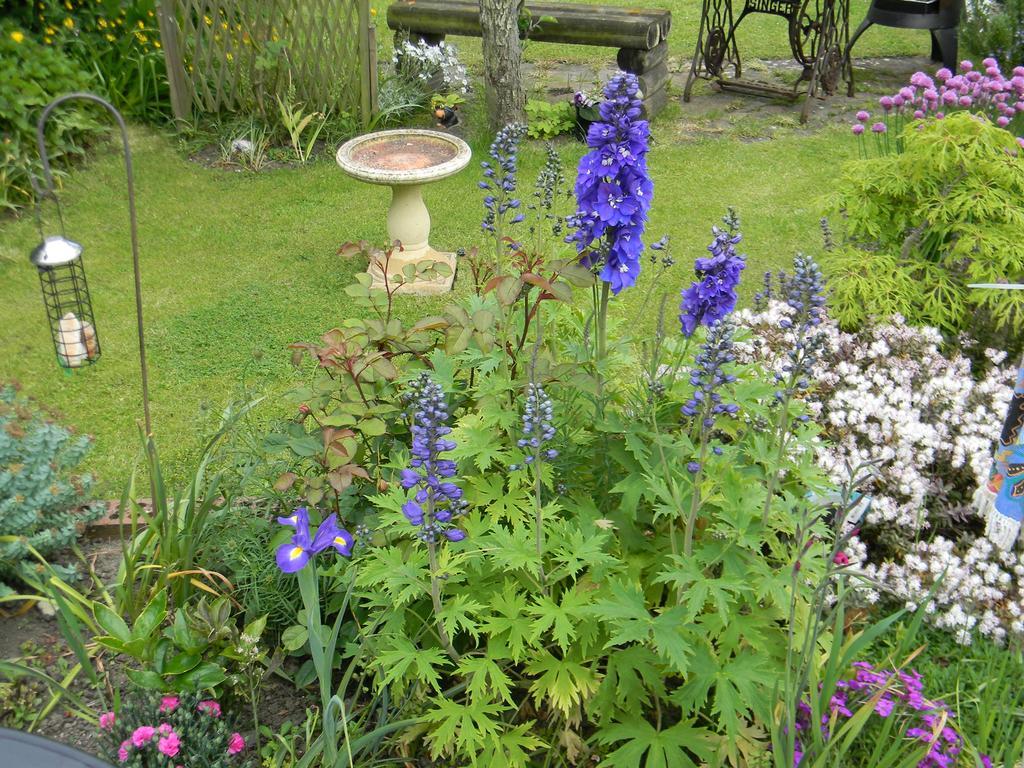 Ugiebrae House Bed & Breakfast North Sunderland Zewnętrze zdjęcie